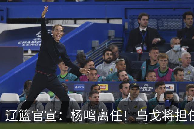 辽篮官宣：杨鸣离任！乌戈将担任辽宁男篮主帅